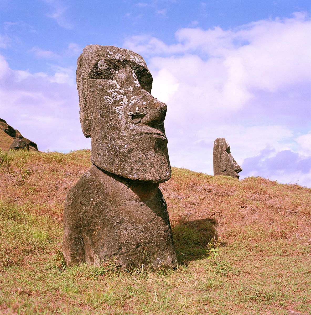 Moai, Easter Island