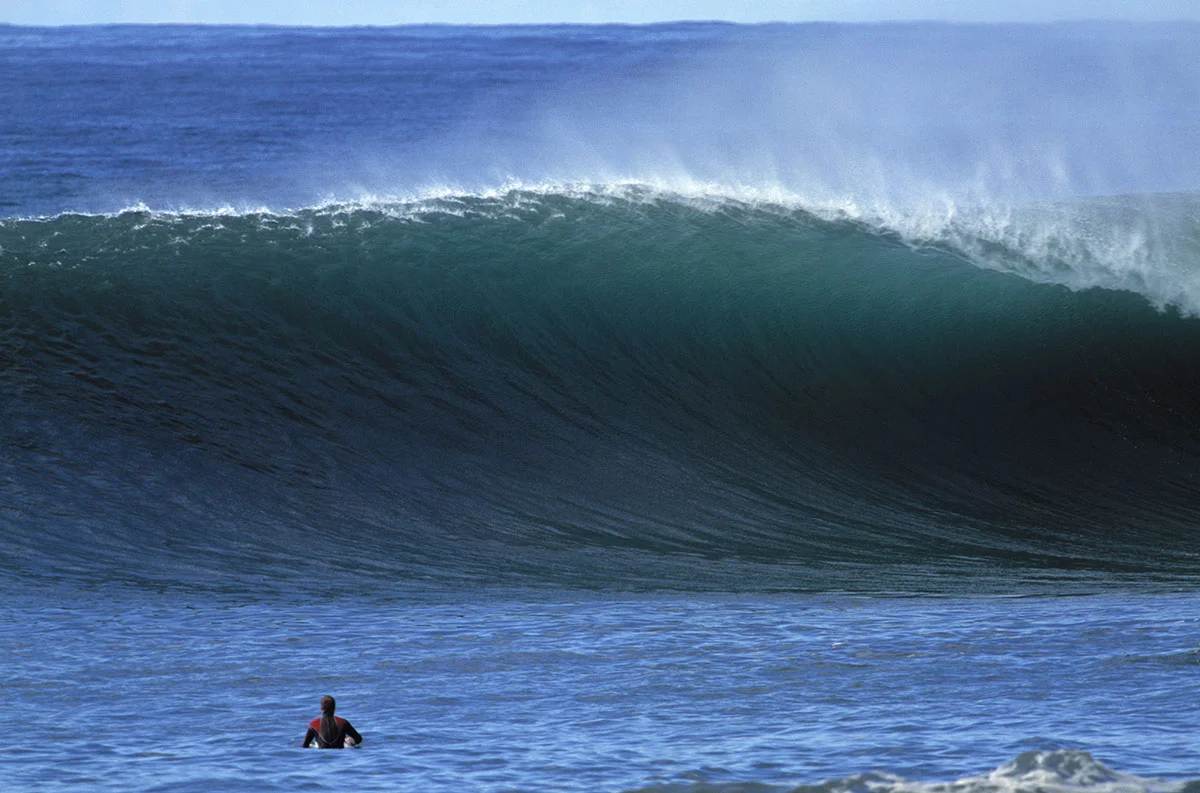 657-14_paul_point_n.jpg