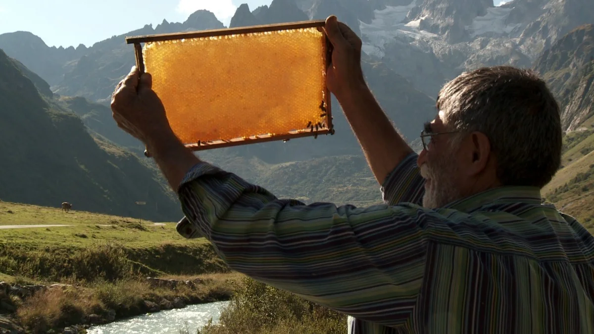 The Beekeeper / Mano Khalil