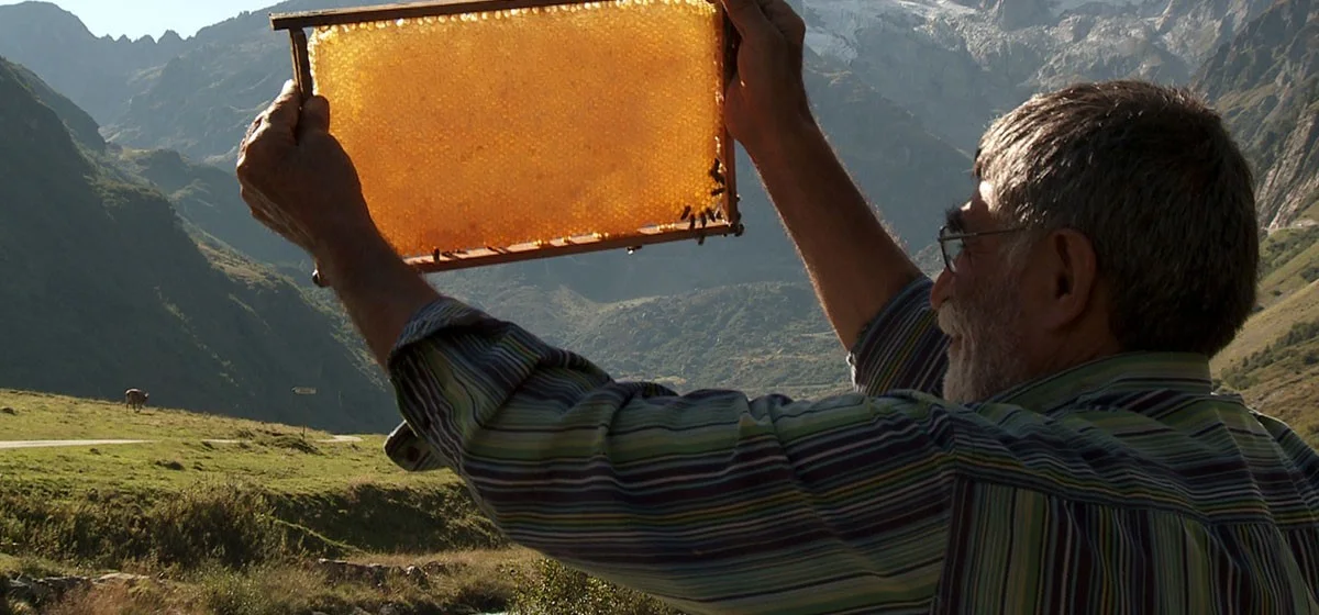 The Beekeeper