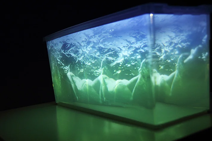 Aquatic Ecosystem was a video installation of figures projected through water taken from the Staten Island industrial waterfront site in New York in Lumen , curated by Ginger Schulick, Lighthouse Museum, (New York), 2011