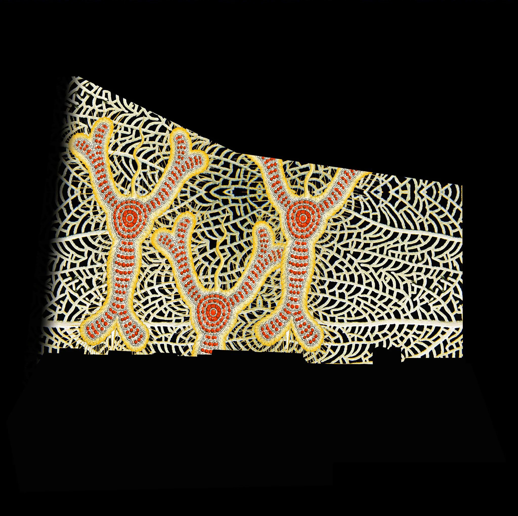 KALEIDOSCOPE, 2014