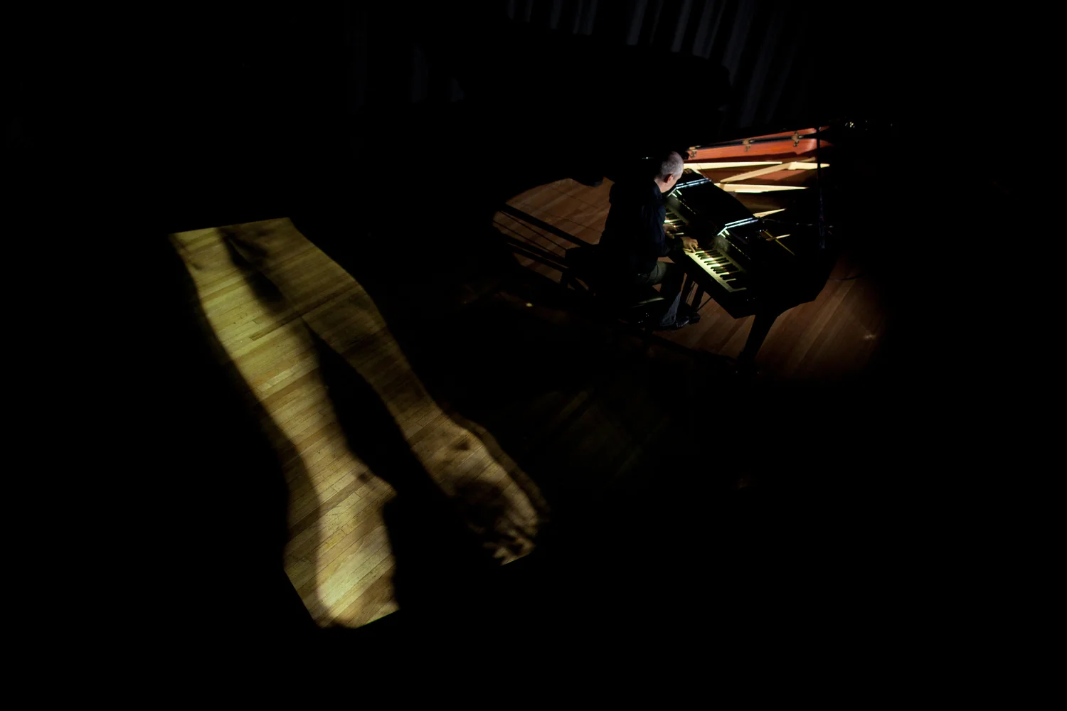 AmandaMorgan_projectionNT3.jpg