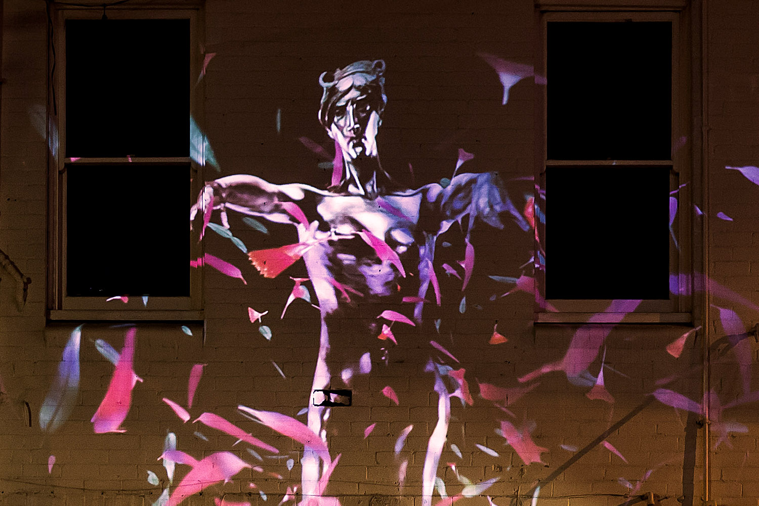 Projection Amanda Morgan.jpg