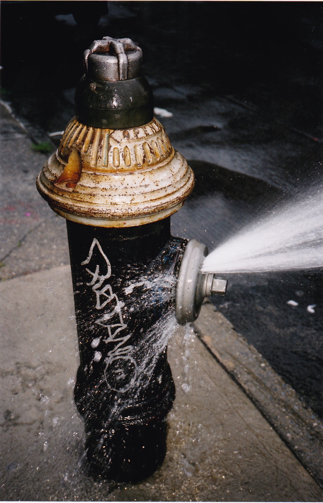 misc124.jpg