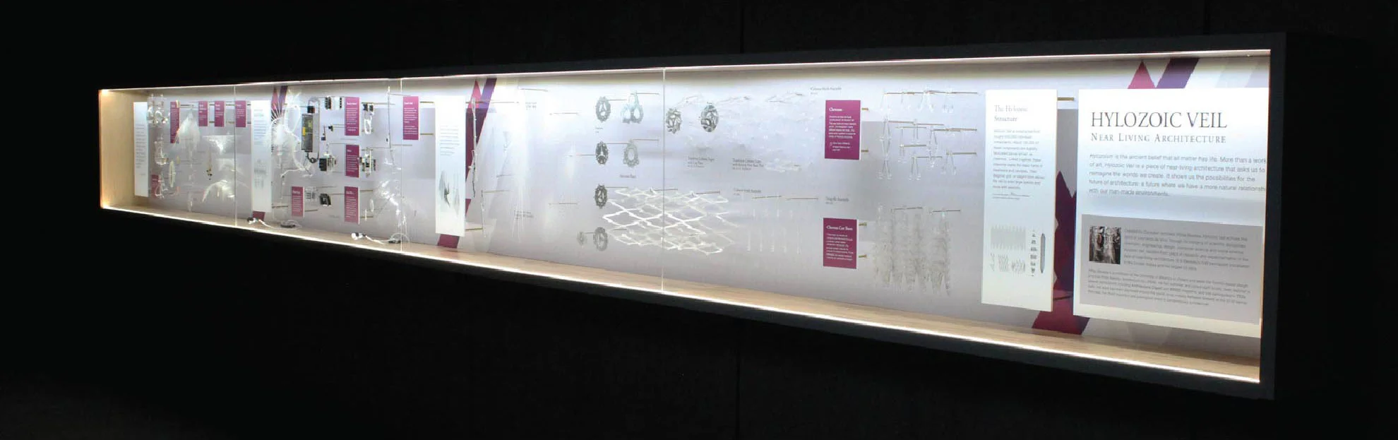 HYLOZOIC VEIL COMPANION EXHIBIT