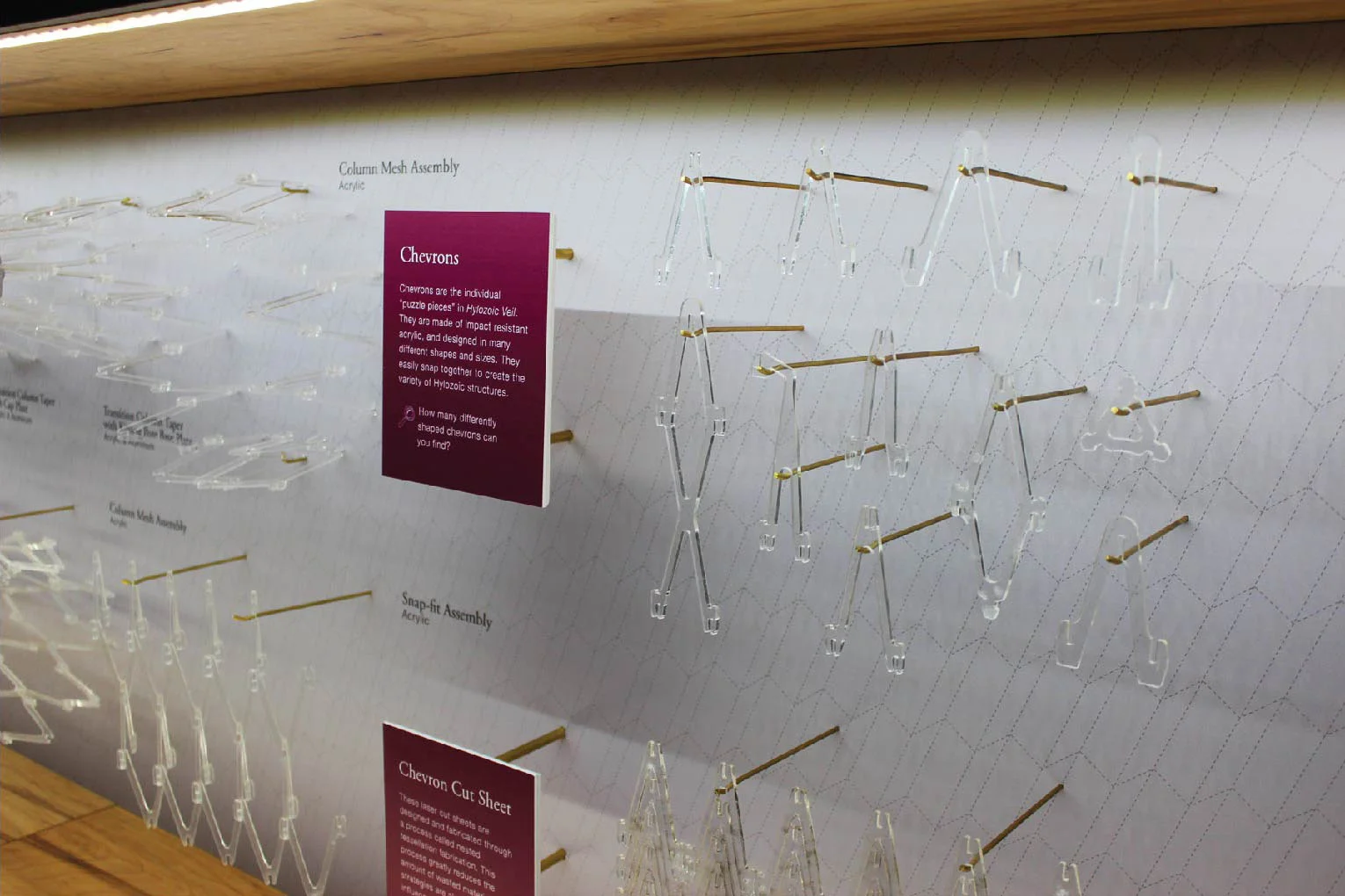 HYLOZOIC VEIL COMPANION EXHIBIT