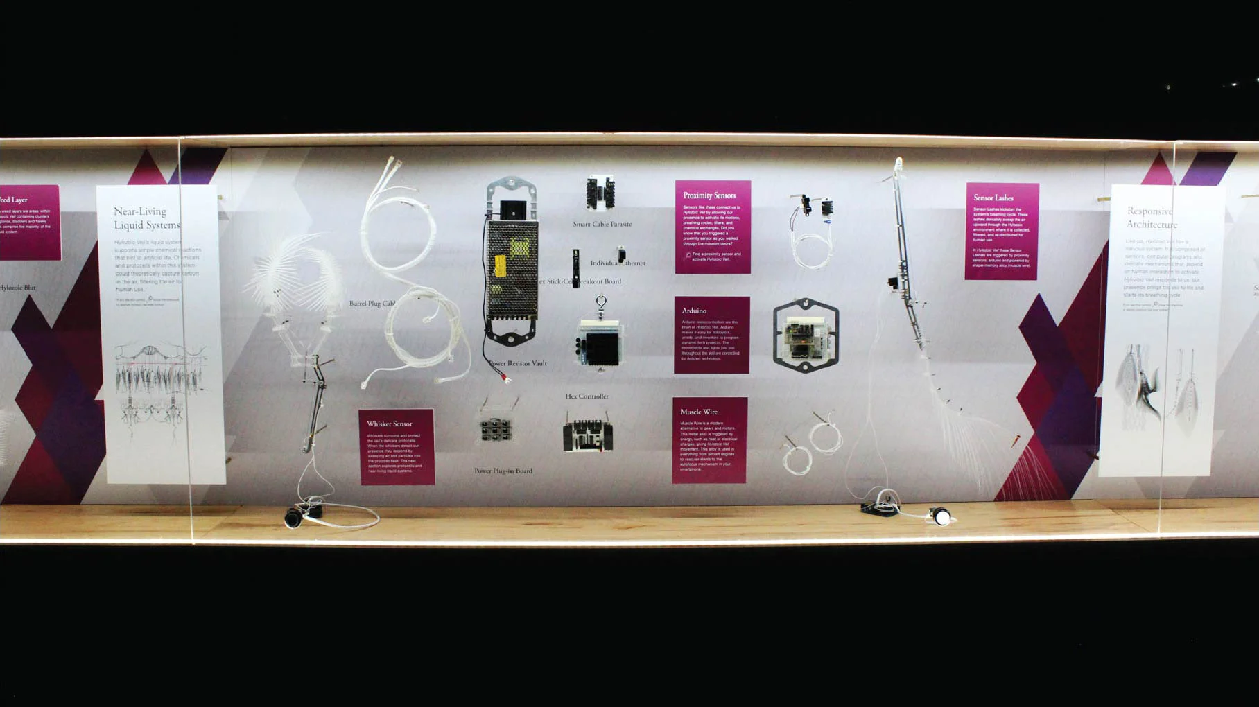 HYLOZOIC VEIL COMPANION EXHIBIT