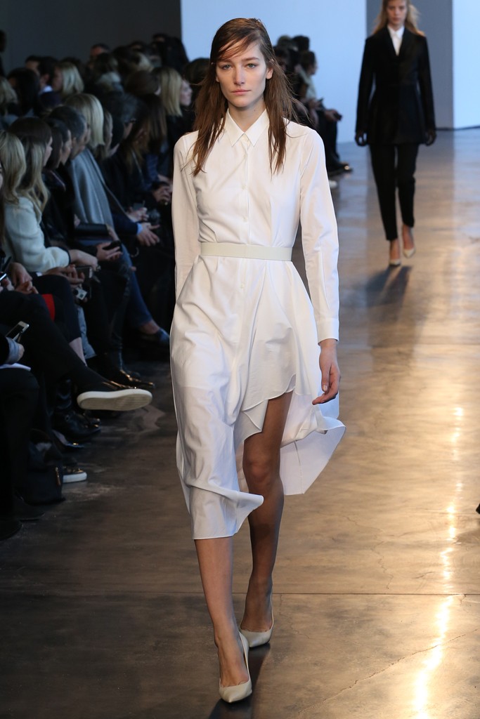 theyskens-theory21.jpg