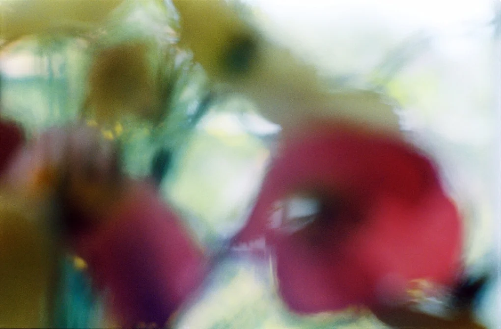 use this for web.jpg