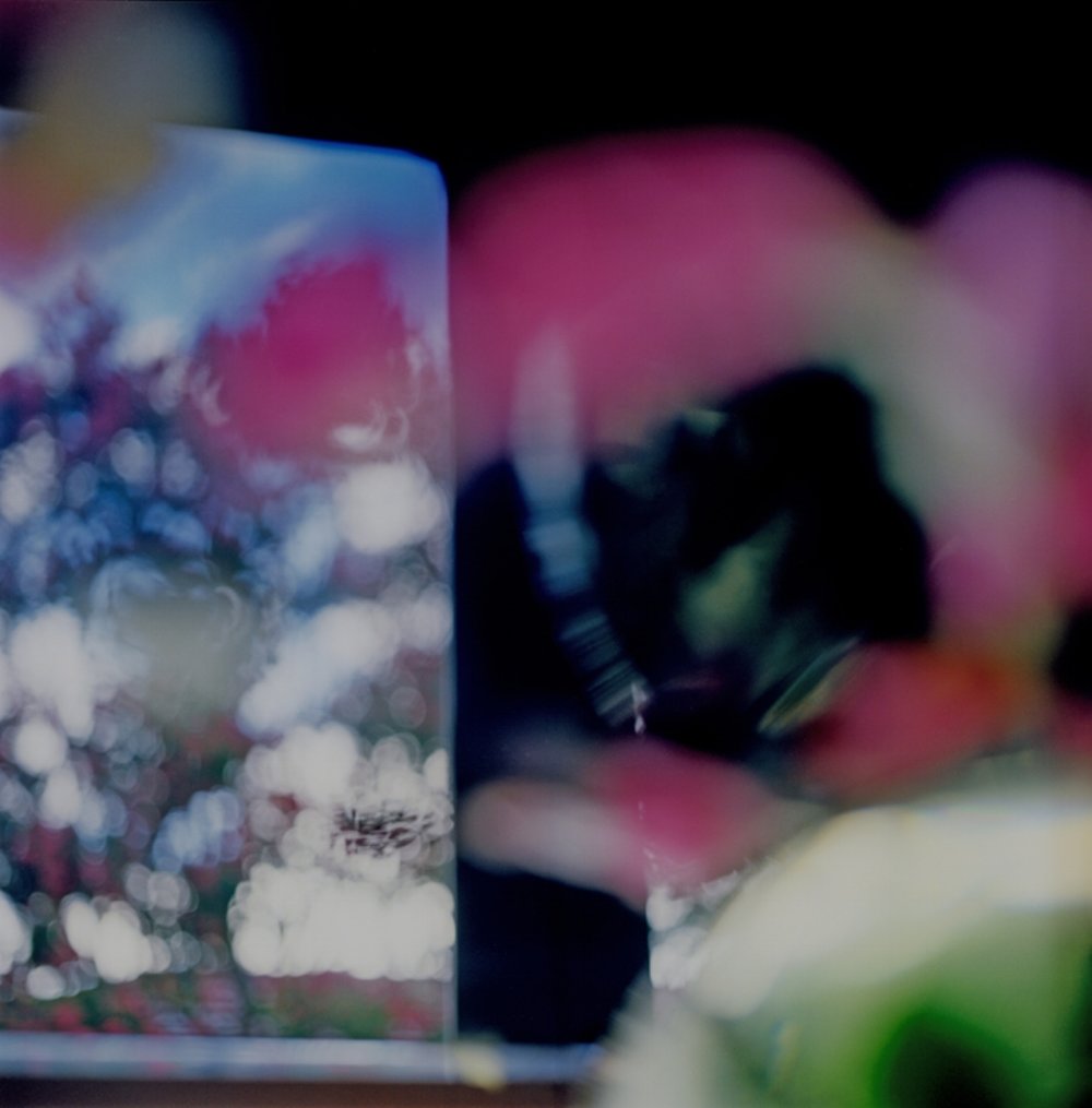 Through+the+Looking+Glass.jpg