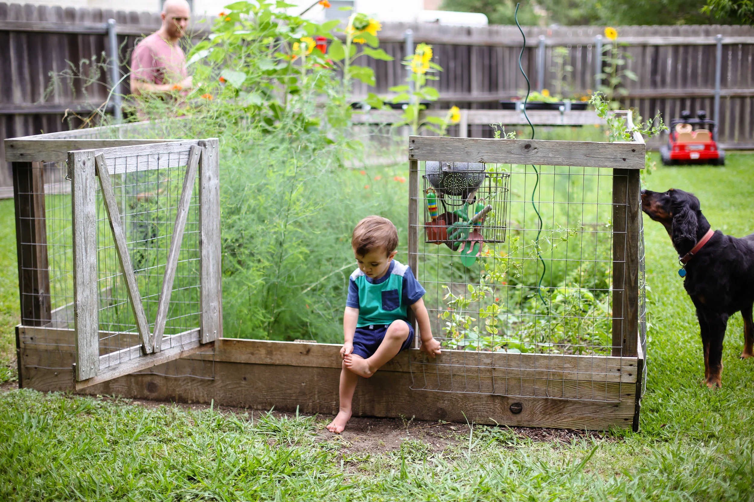 We have sugar snap peas (we planted the seeds in late February/early March) growing up the side of our garden fence. Our Gordon setter likes to help herself to a little sugar snap snack. Sugar snap peas like to climb, make sure they have a trellis or fence to travel up. Garden basket to keep all the shovels and rakes for the little gardeners. This is our garden and youngest son this year, May 2017.