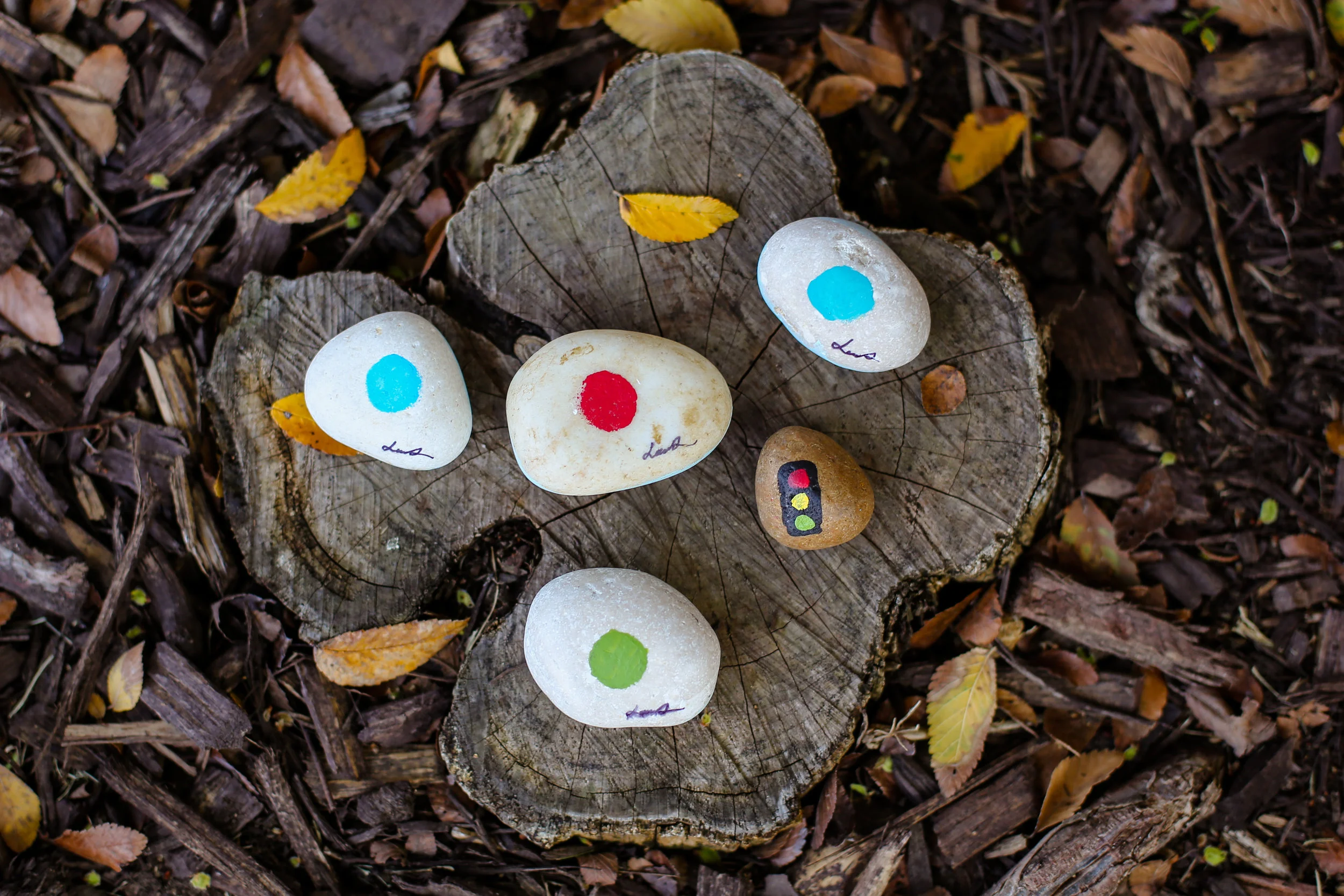 There is a painted dot on the back of each rock - to learn colors & easily find rocks that are turned over
