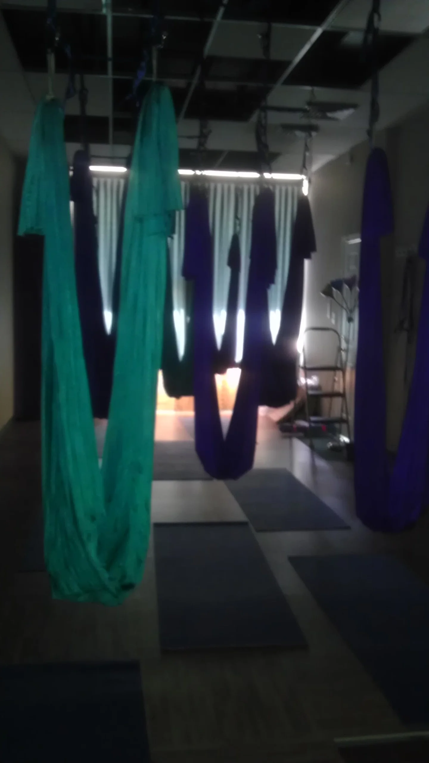 2015-02-03 11.43.24.jpg