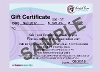 Aerial Fun and Fitness Gift Certificate