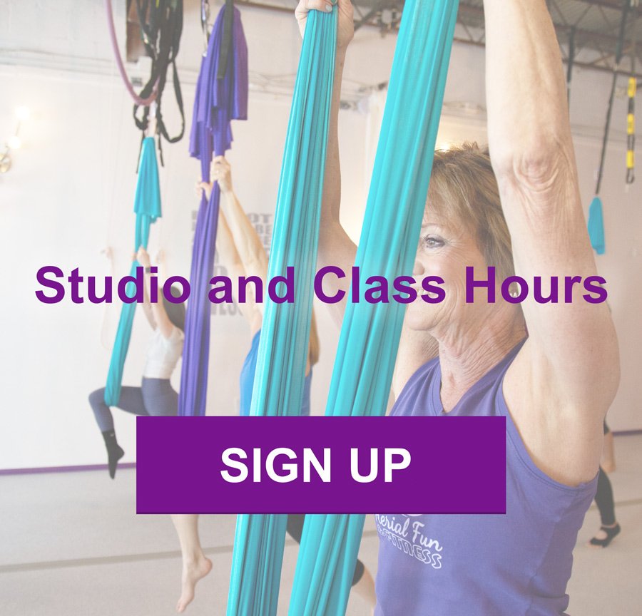 1 Hour Yoga Trapeze Class for Beginners 