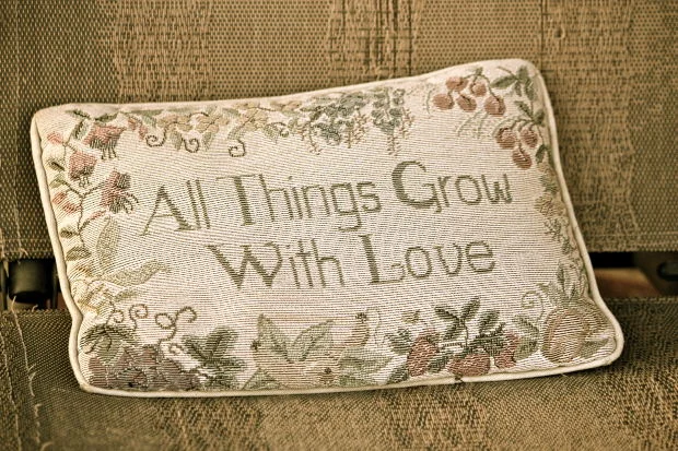 Friends I want to attract