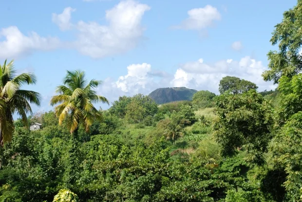 Actions Speak Louder Than Words: How Hypnosis Helps You Take Action