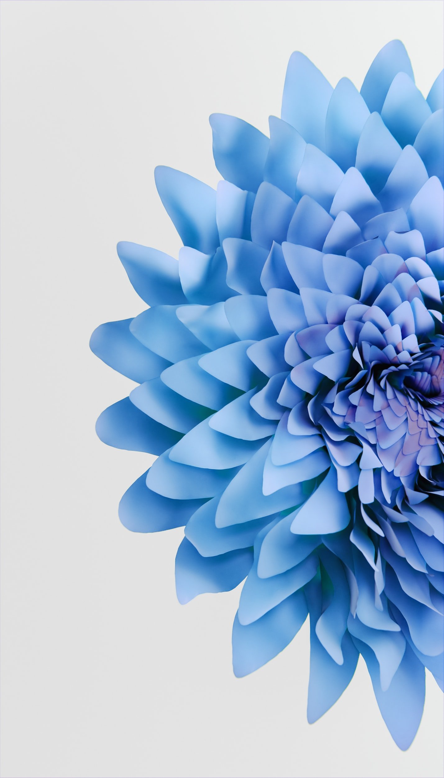 Hypnosis and meditation