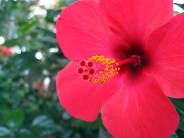 Perfectionism as Protection: The Hidden Secondary Gain Behind "It Has to Be Perfect"