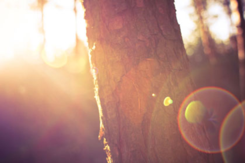 Hypnosis for Anxiety in Denver