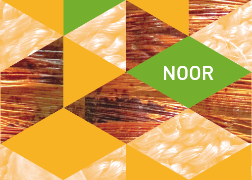 Noor F 1.png