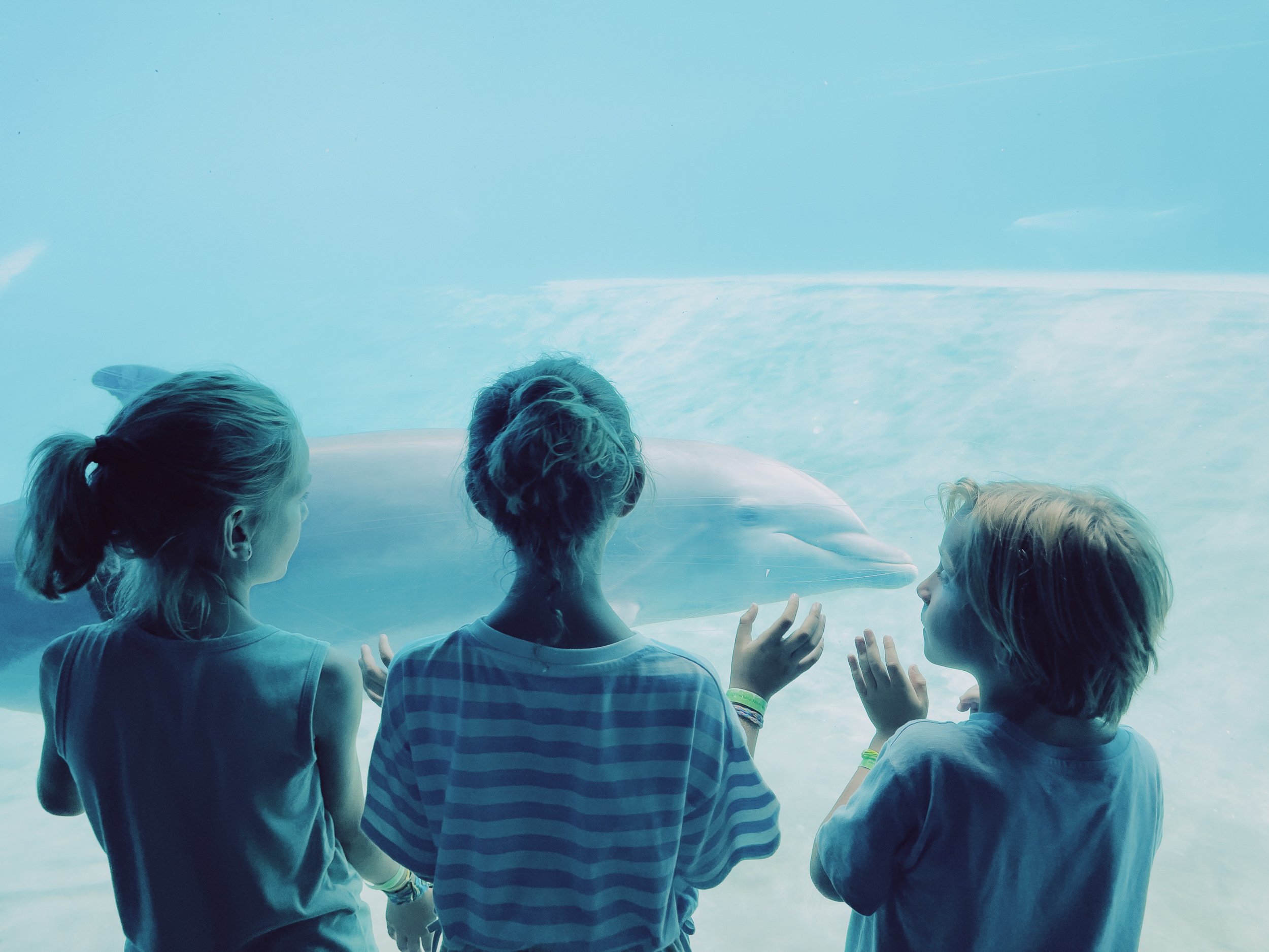 Elke Van Oevelen-foto-documentaire-web-2500px-240-47.jpg