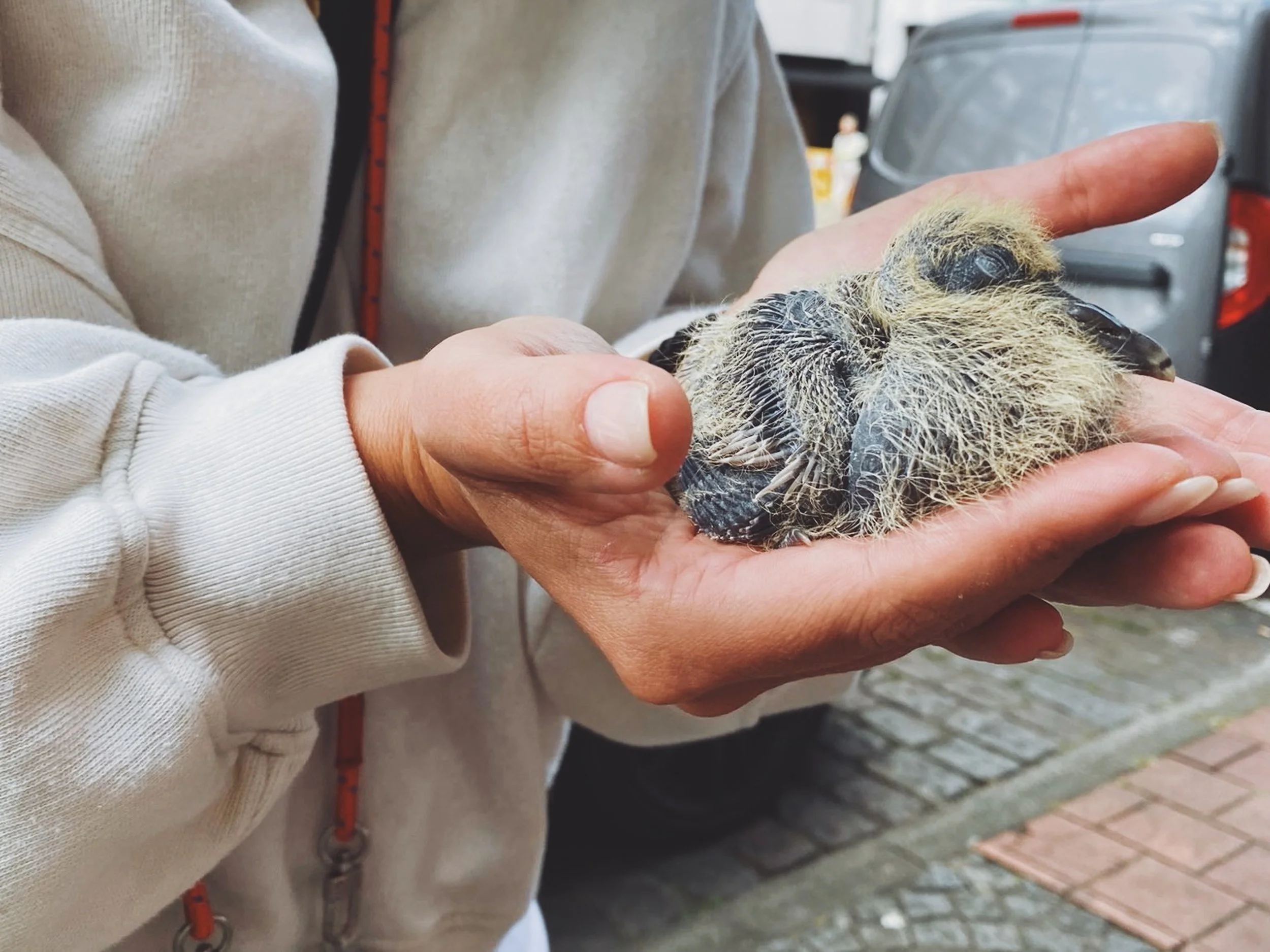 Elke Van Oevelen-foto-documentaire-web-2500px-240-137.jpg