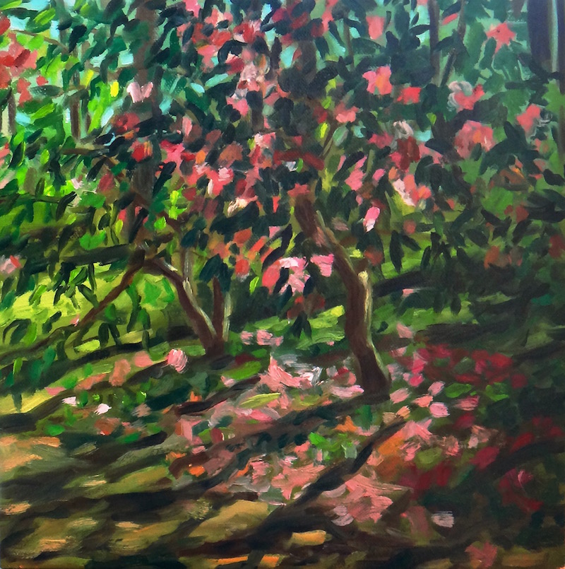 "Late Afternoon Camellias"&nbsp;Oil on 12x12" canvas. 2016.