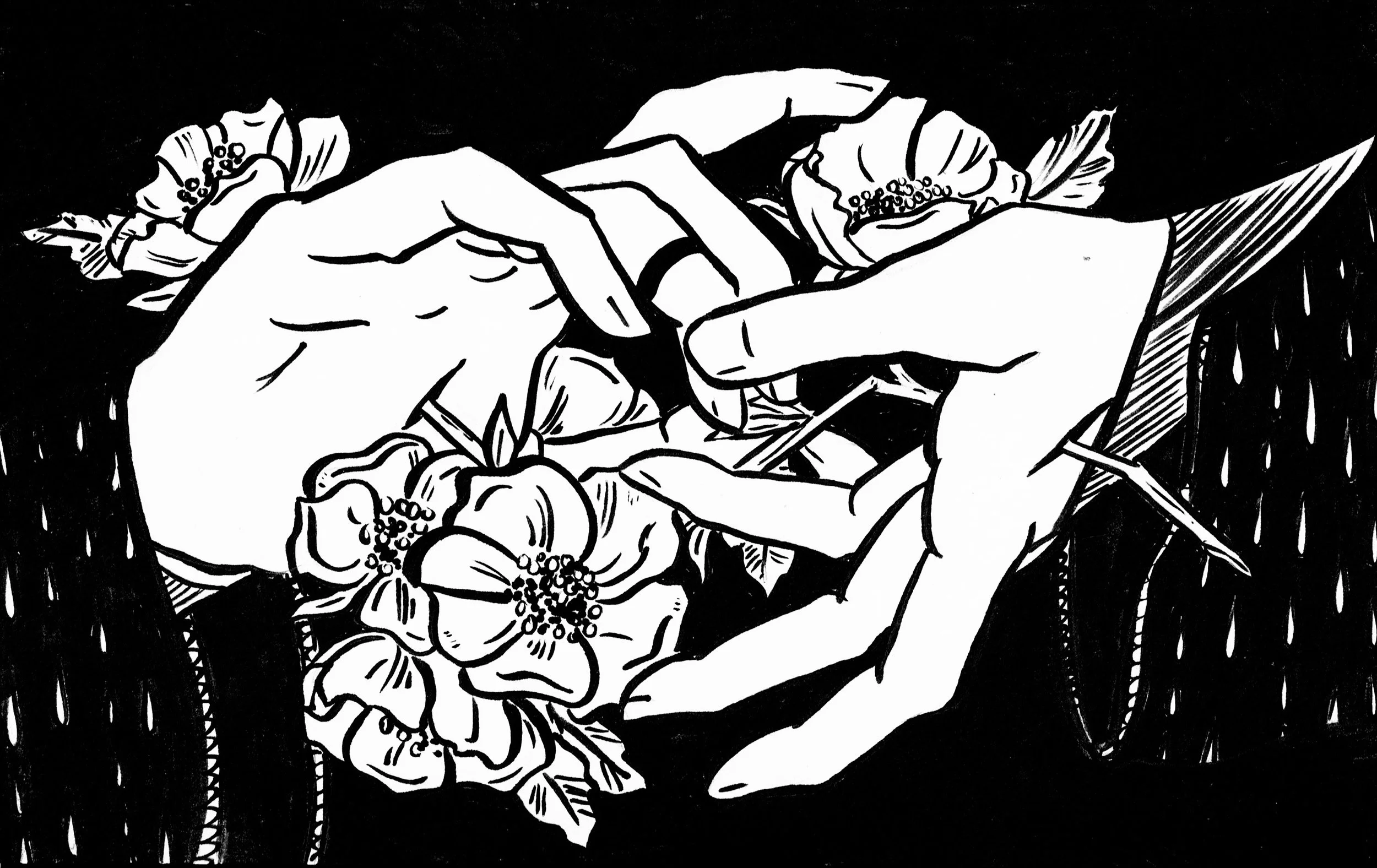 What's in a Rose