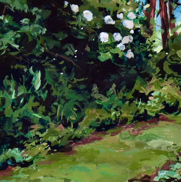 Mossy Path