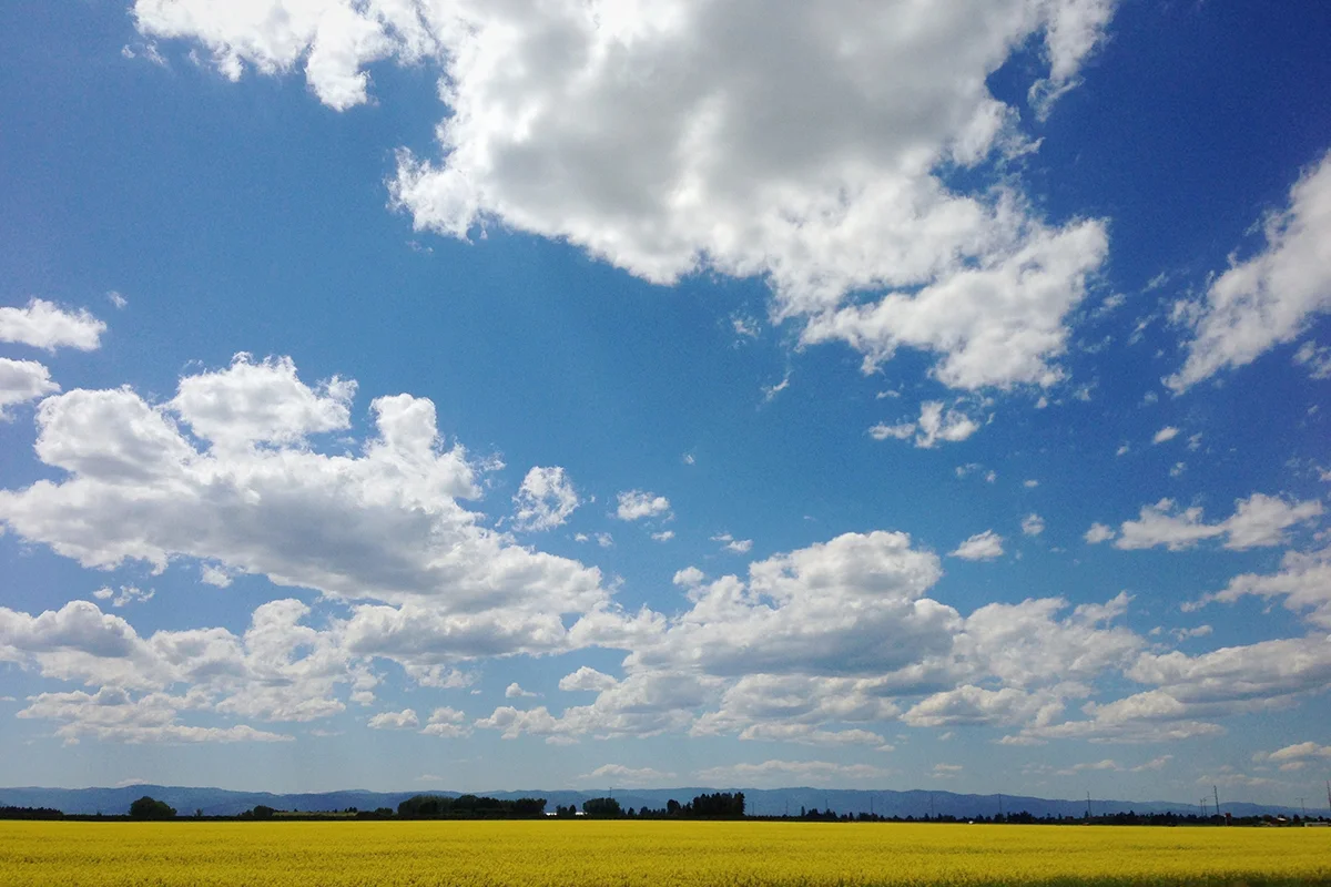 Kalispell, Montana