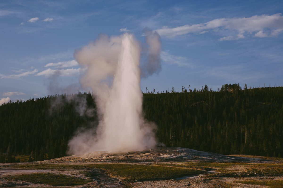 Old Faithful 