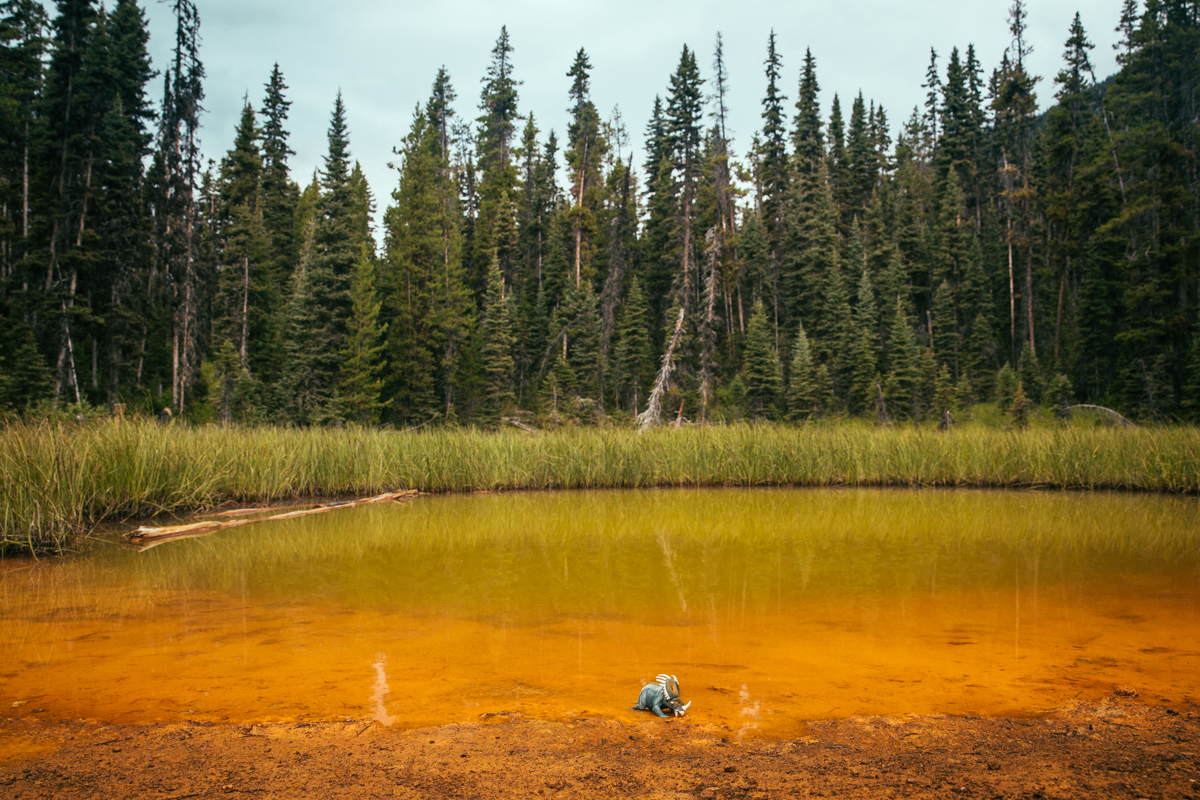 Boom at the Ochre Beds at the Paint Pots, Kootenay National Park - iPhone image