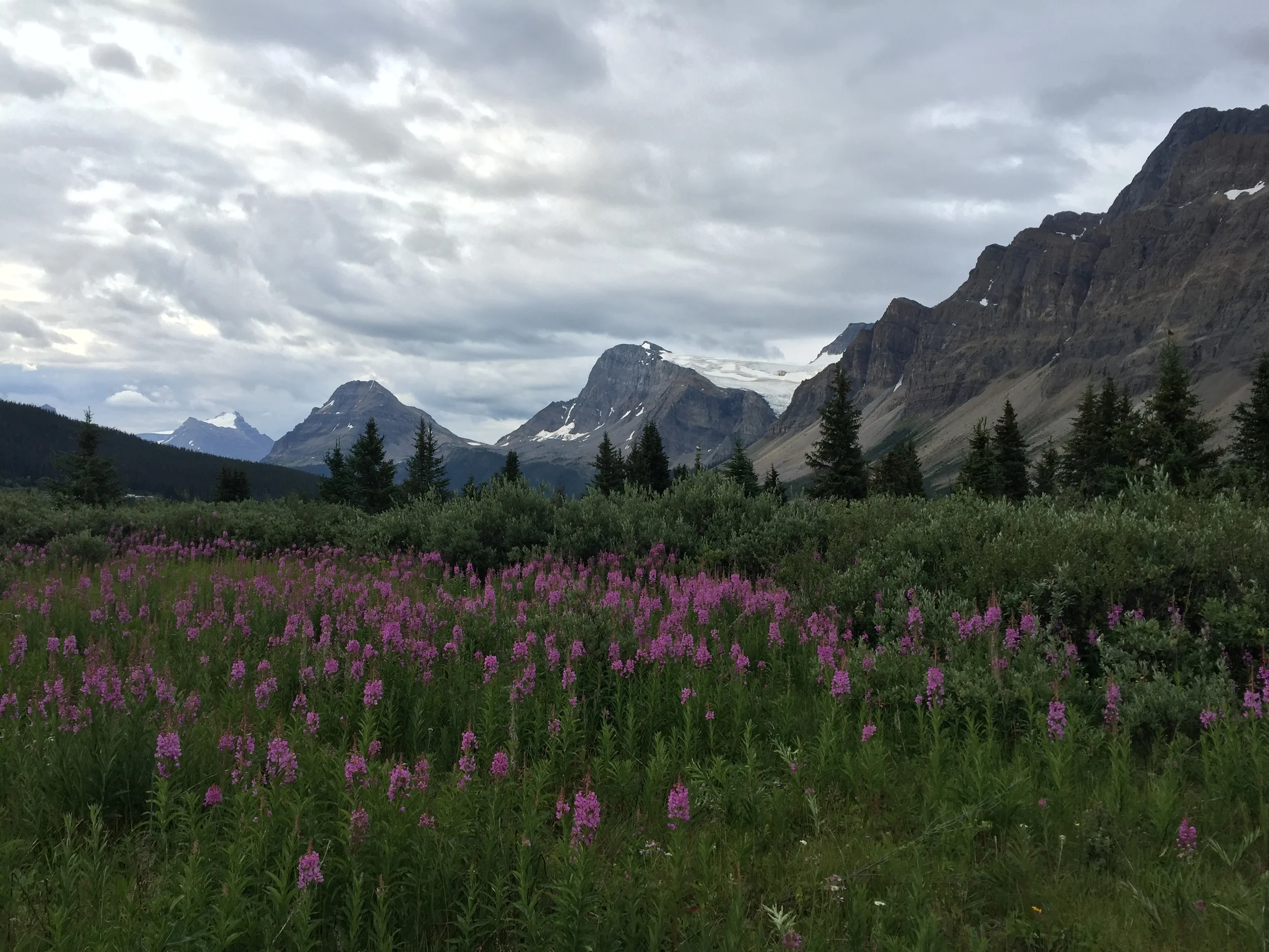 Icefields Parkway, Alberta 