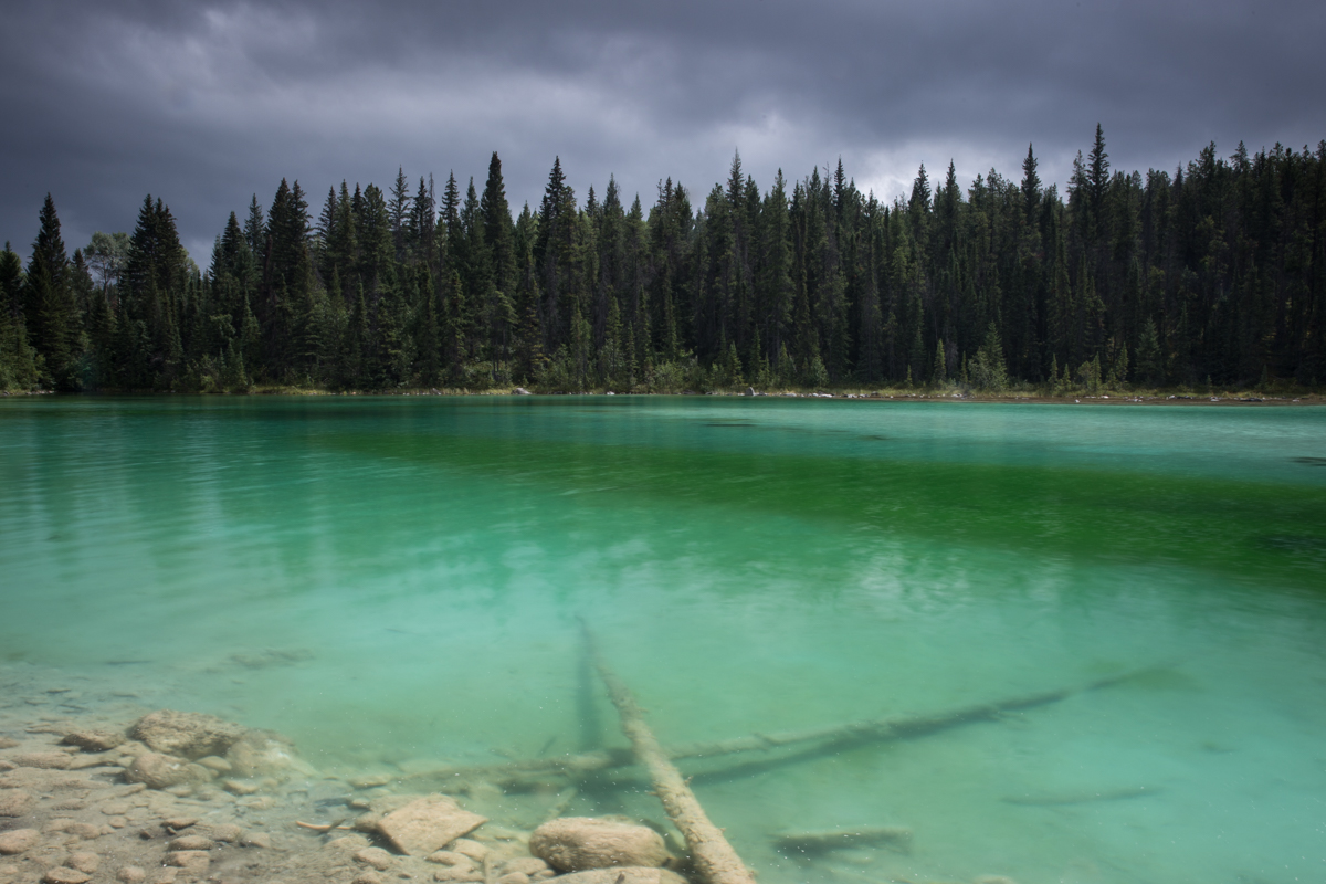 Valley of the Five Lakes, Jasper National Park 