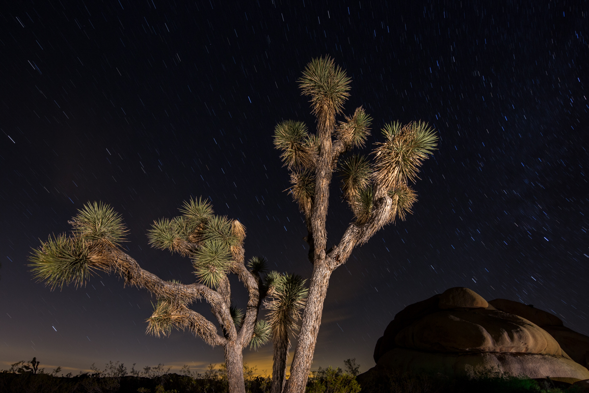 Joshua Tree National Park. Full moon. 4 minutes.