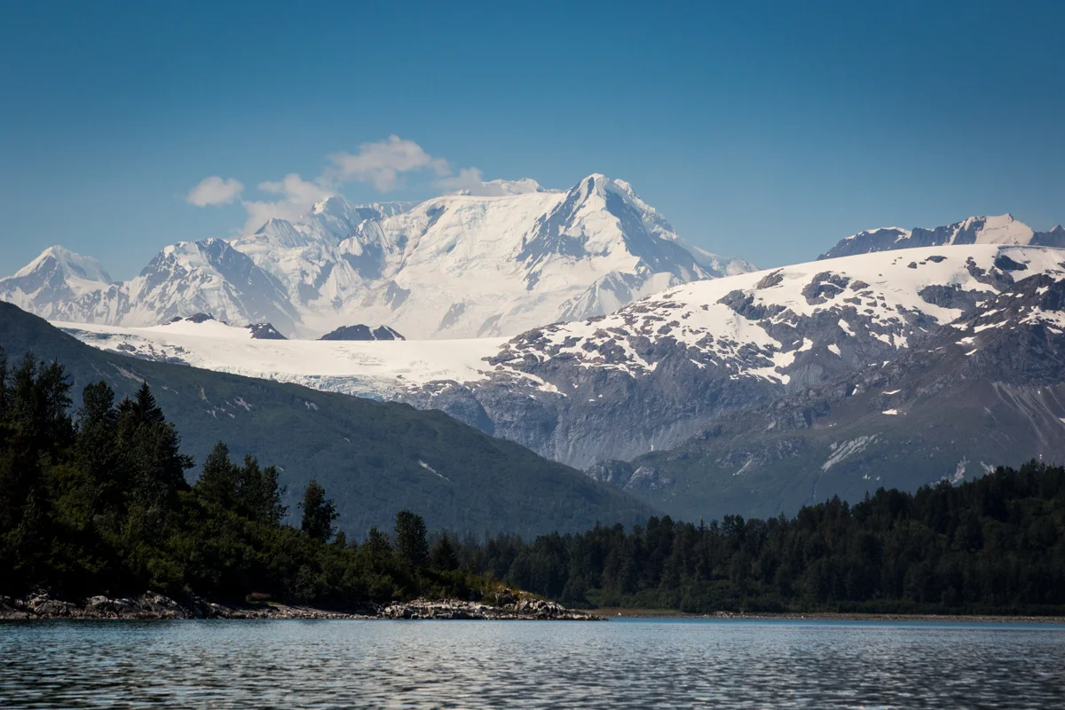 _MG_2613.jpg