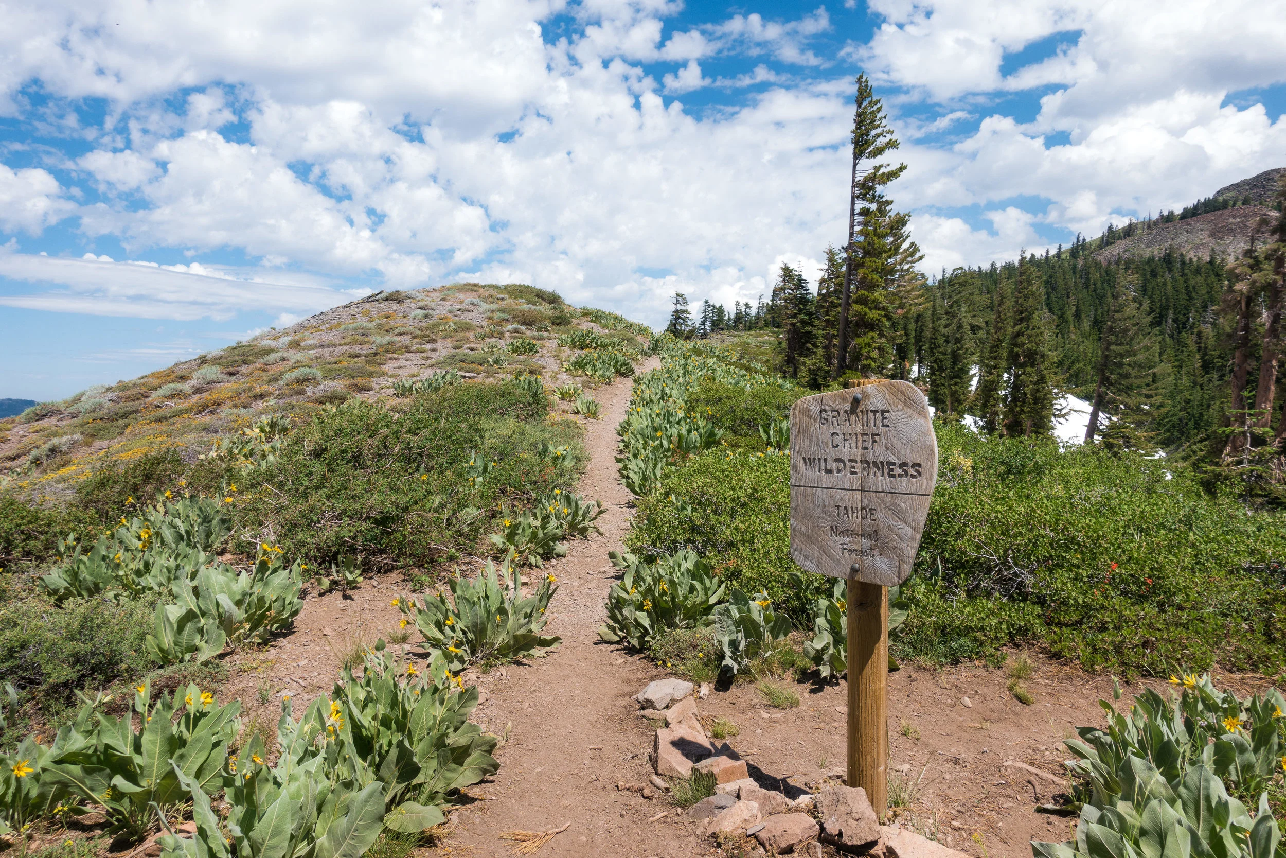 Entering Granite Chief Wilderness.
