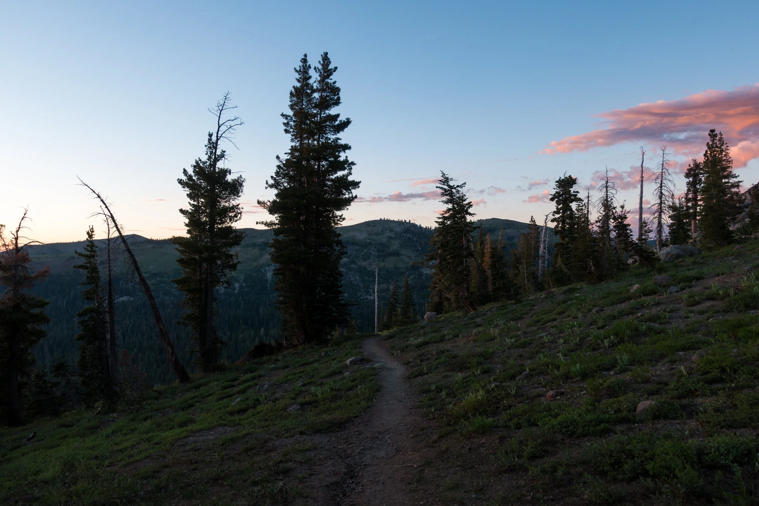 Evening views.