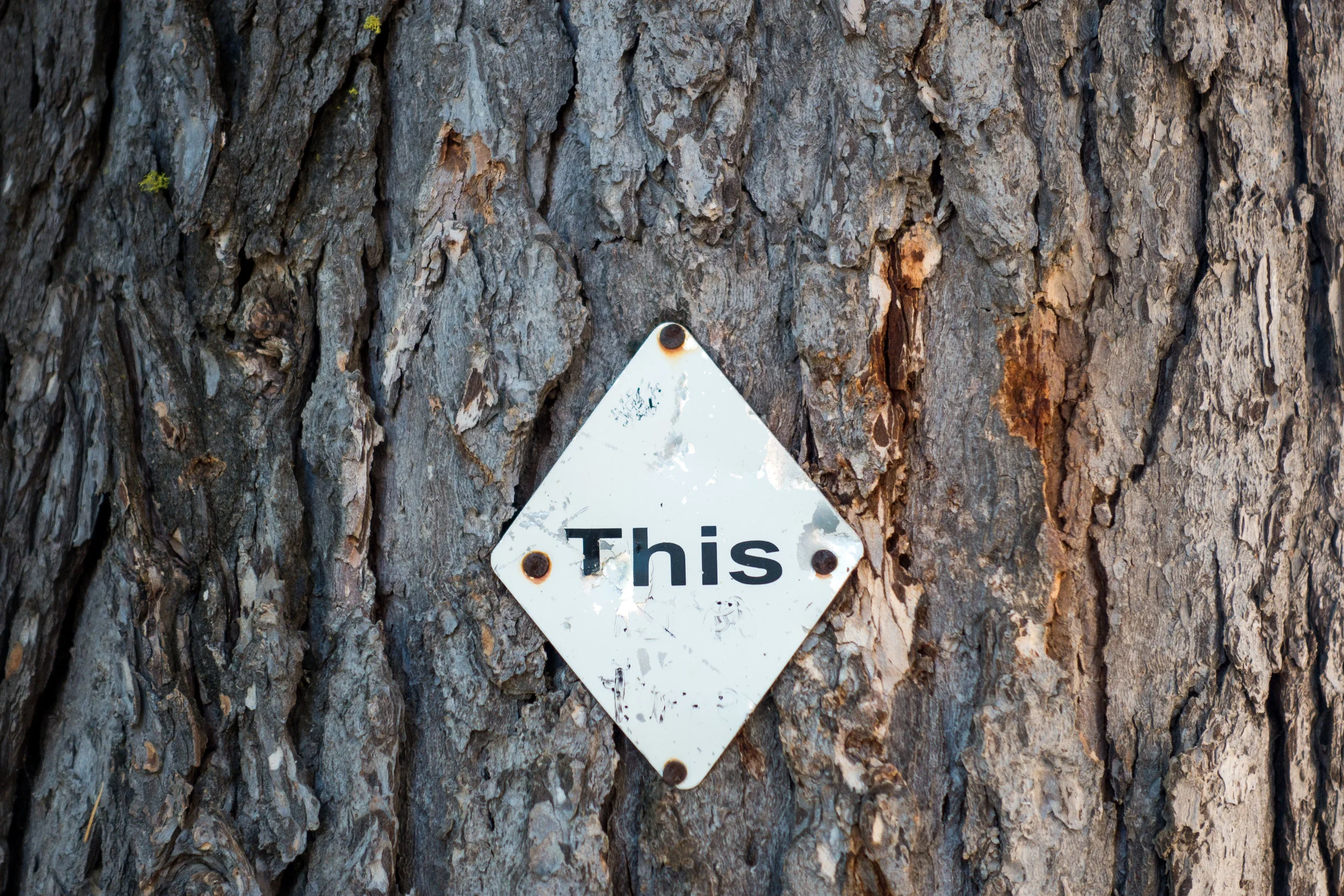 pct-marker.jpg