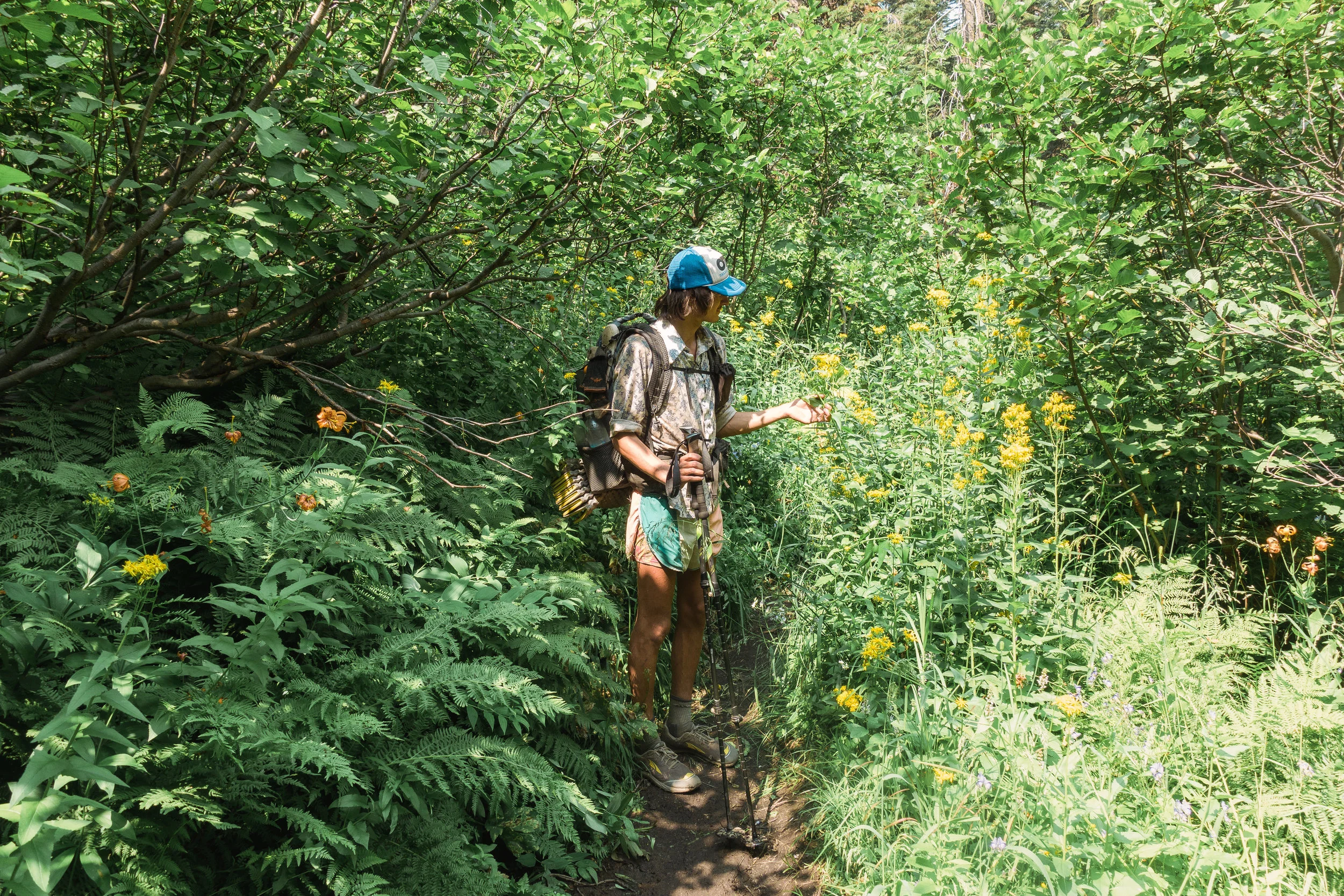 Marveling at the beautiful NorCal wildflowers.