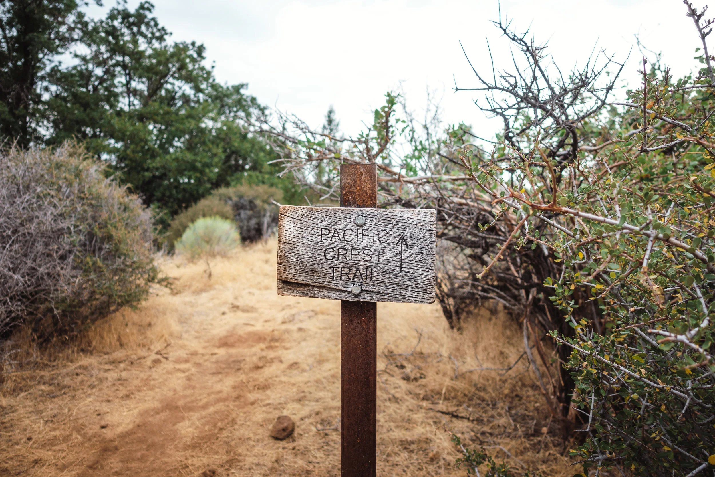 Walk this way.