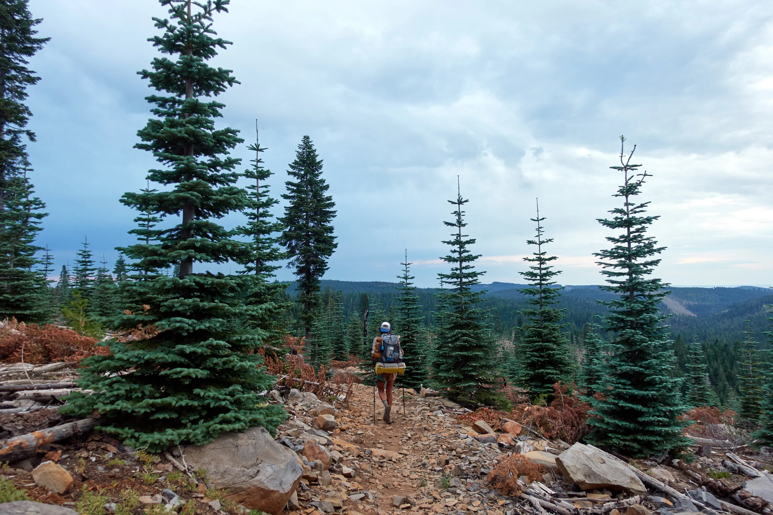 Sauntering under the cloud coverage.