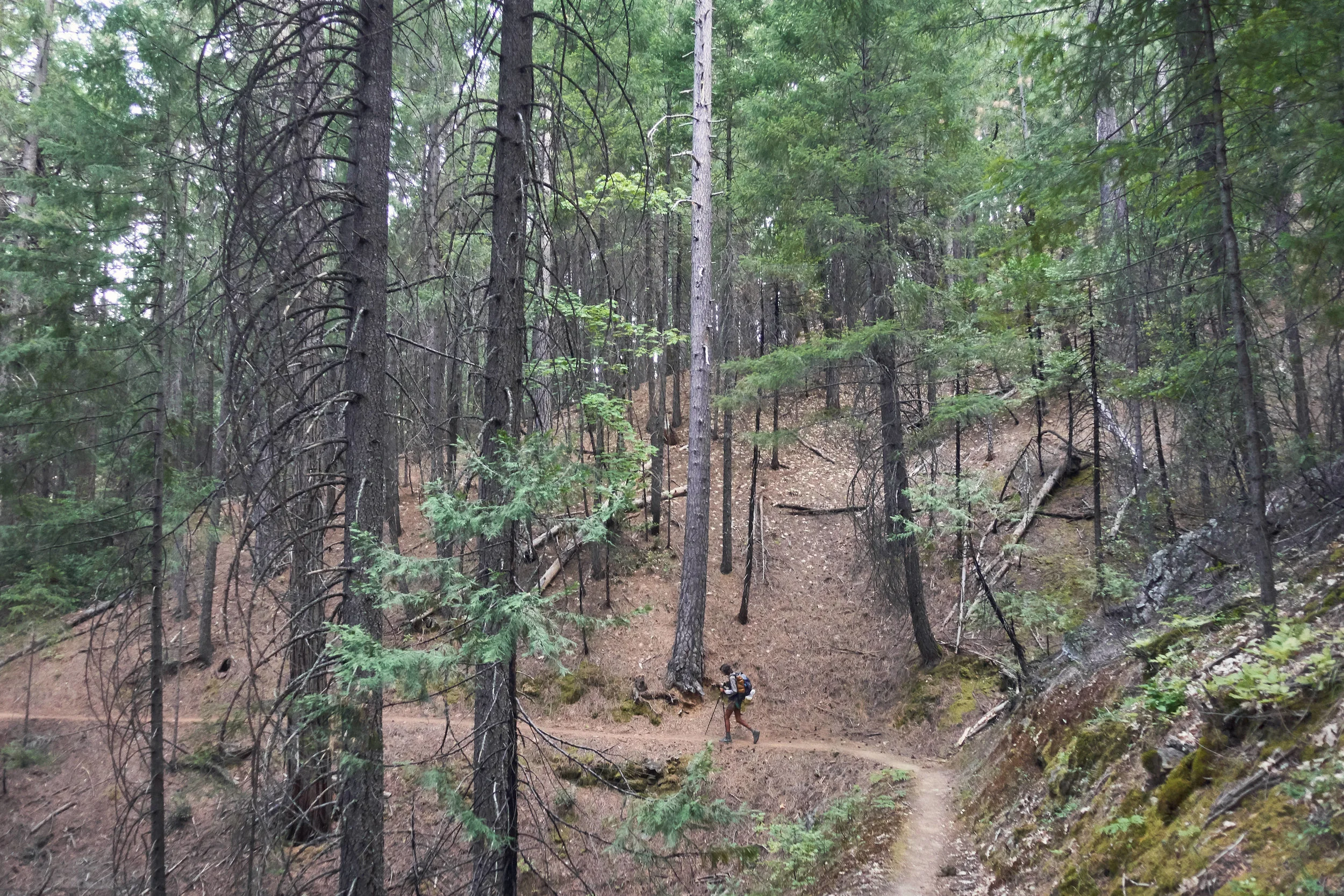 Morning hike.