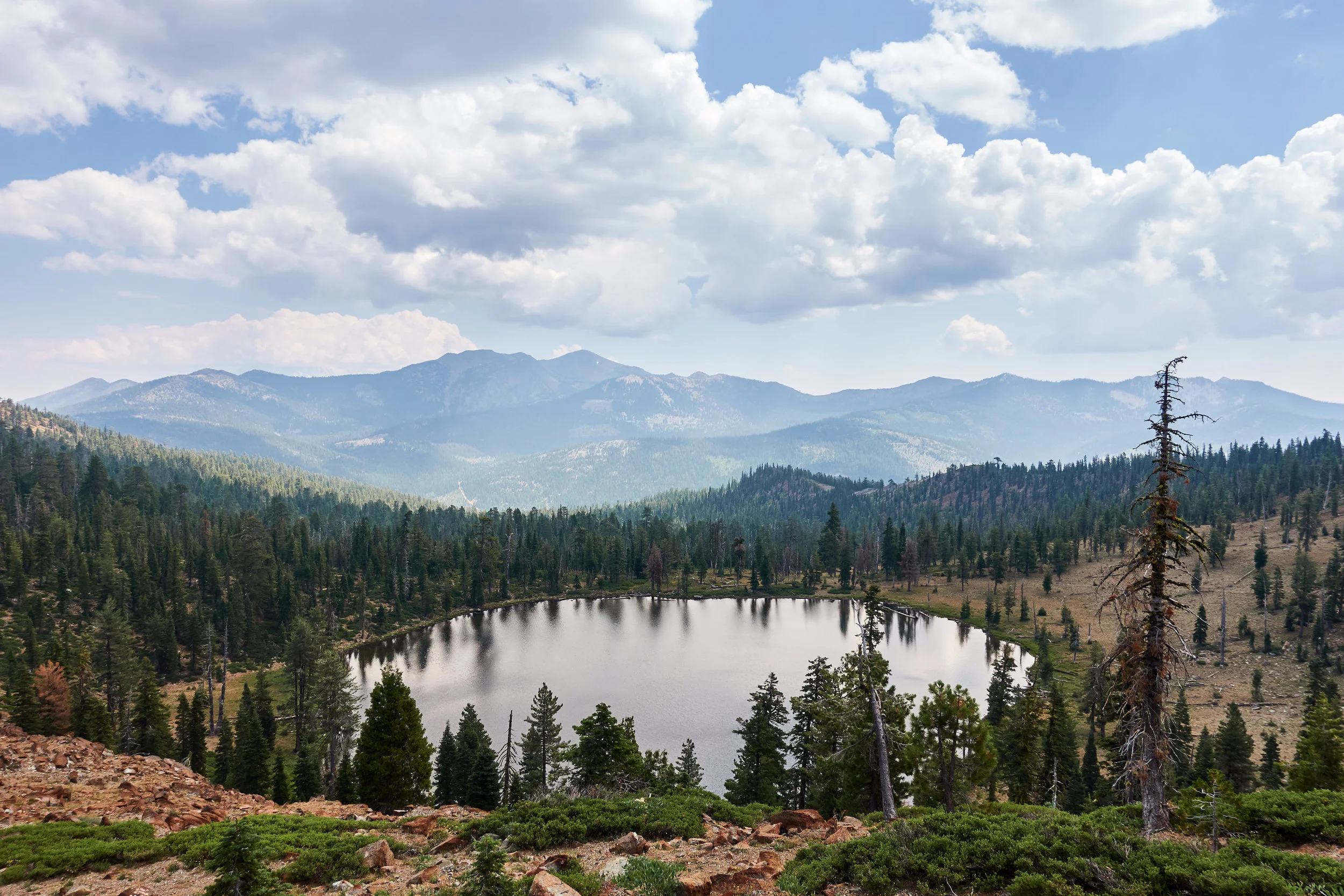 Little bit of nice scenery.