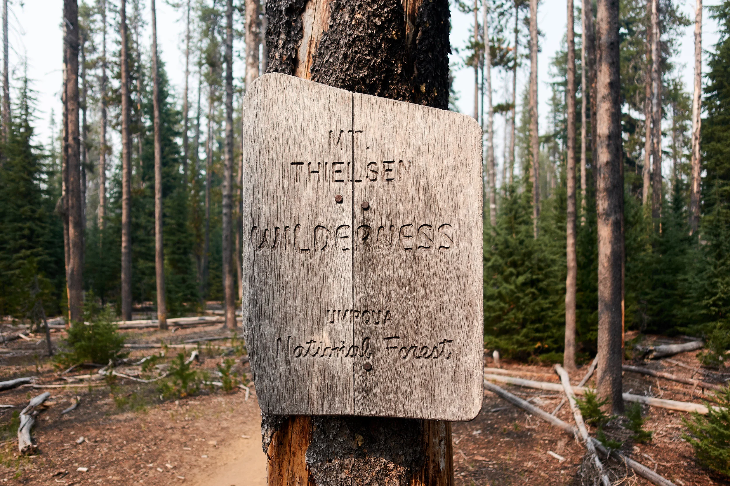 Entering Mt. Thielsen Wilderness.