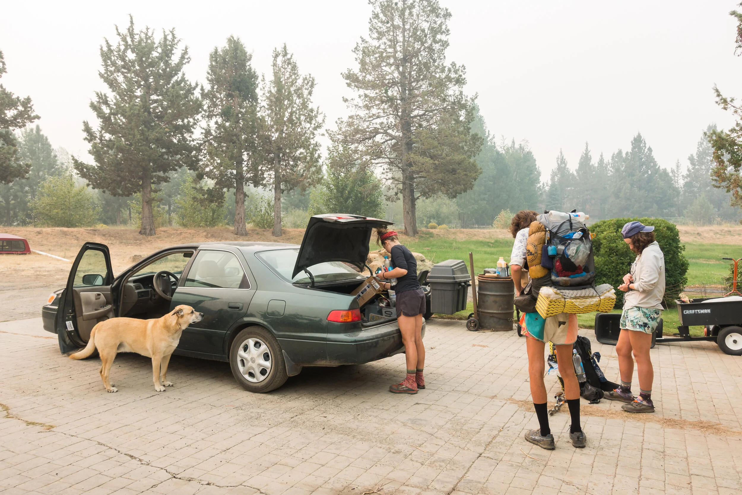 Rico keeping an eye on us while we pack the car.