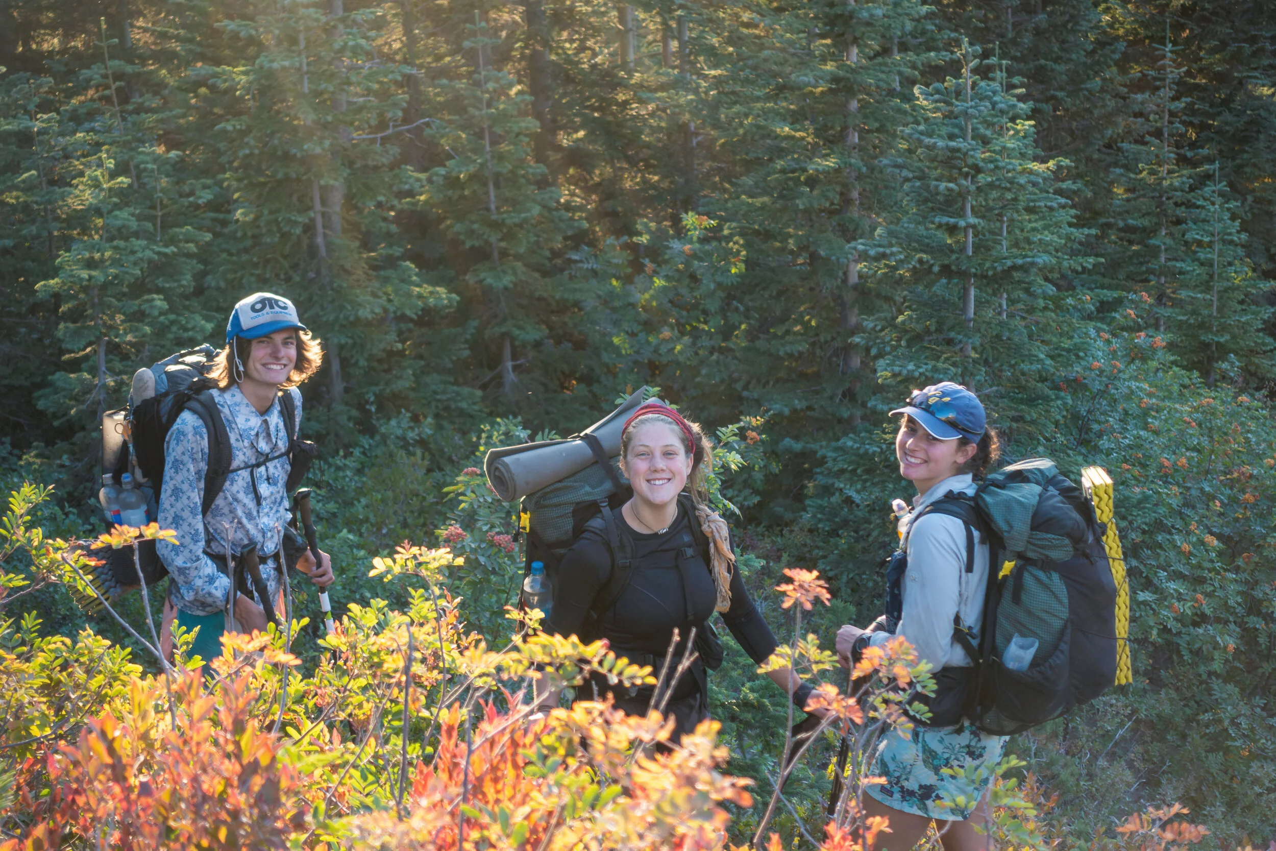 Sam, Indigo, and LL enjoying the setting sun.