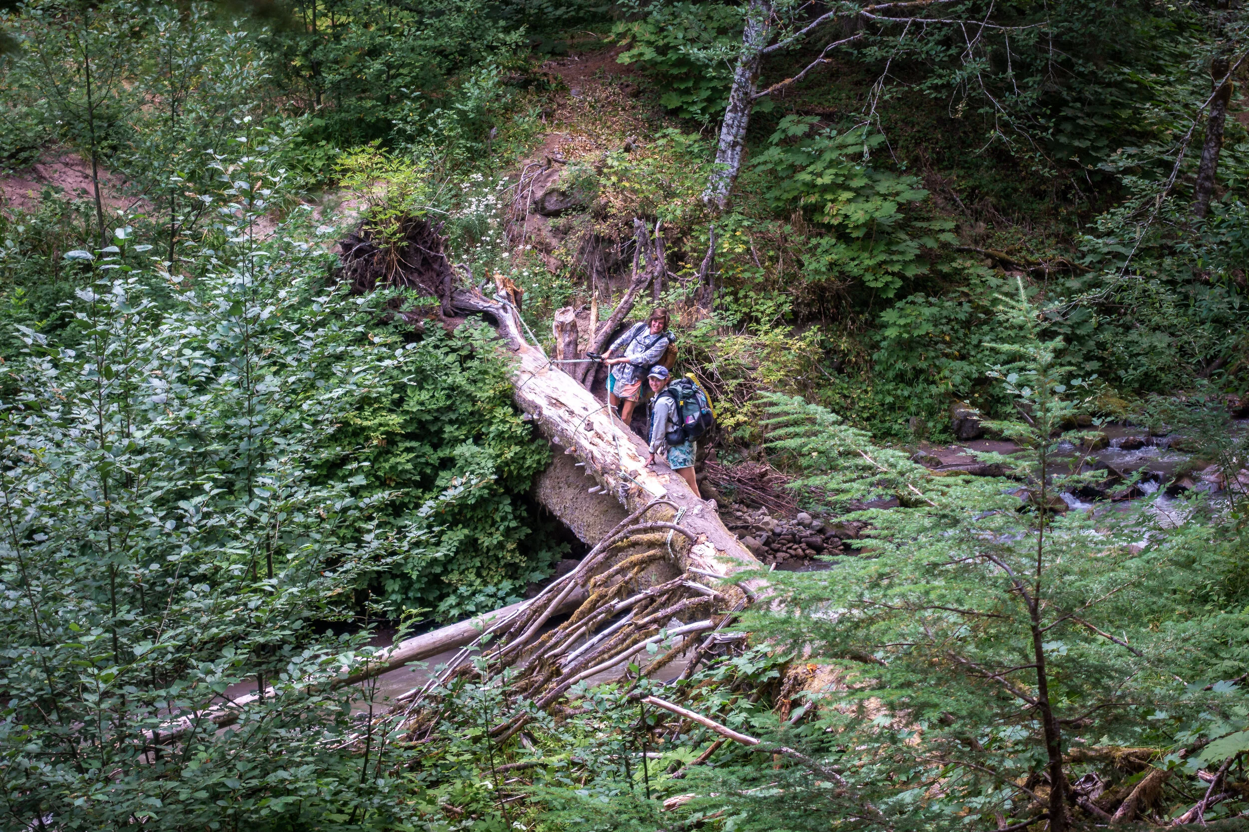 Easy river crossing.